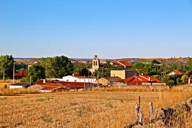ZARAPICOS